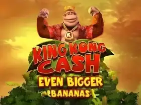 bk8 promo